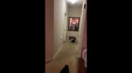 Spooky time with my babies and their reactions are hilarious