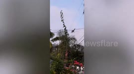 Clever monkey uses power cables as zipline to move between buildings in Costa Rica