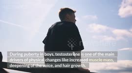 Tips To Boost Your Testosterone Levels Naturally |How You Can Boost Your Testosterone Naturally