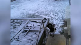 Swedish father and son duo build functional recycling machine operated by MAGPIES