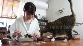 Check Meow-t! Japanese Woman Crafts Hyper-Realistic Cat Heads With Felt