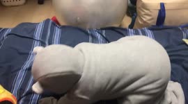 Mommy put a sleeping bag on me and started laughing At how i couldnt get up