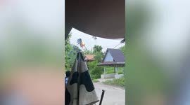 Fallen tree knocks out power lines after thunderstorm in Thai village