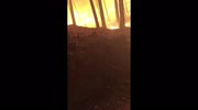 temp