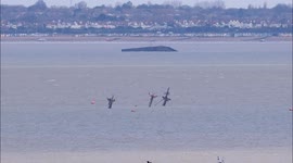 D-Day Mulberry Harbour could protect Southend-on-sea from Montgomery shipwreck blast off Kent, UK