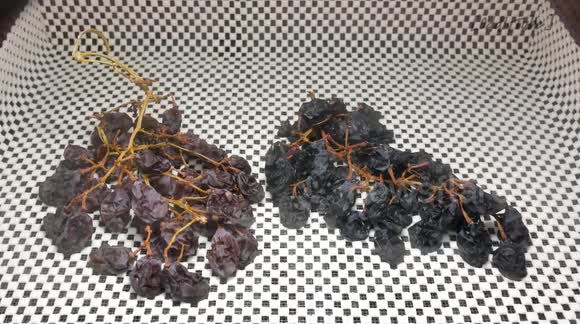 Oddly satisfying timelapse shows food being dehydrated