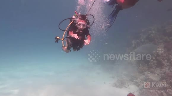 Diving with my son at Red Sea he was a frist time to diving