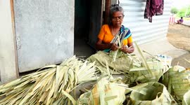 Oddly satisfying footage shows Indian artisans weaving baskets from palm leaves