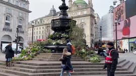 Flowers and plants cover the Eros fountain in Piccadilly Circus ahead of the launch of the Green Planet AR Experience
