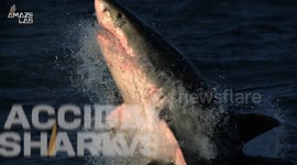 These Fishing Nets Could Save Our Planet’s Sharks