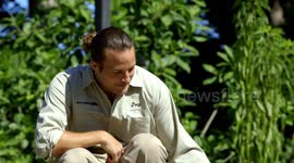 Keep These Iguanas Mentally Stimulated With Target Training