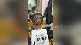 Hairdresser shaves Winter Olympics mascot into customer’s head