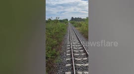 Kind train driver rescues turtle stuck on tracks