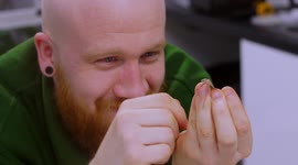 Amazing footage of a tiny 3cm-long baby chameleon from Whipsnade Zoo, UK