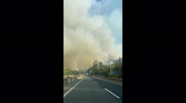 Chile: Red Alert Issued As Massive Brush Fire Breaks Out In Collipulli 2