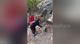 The Adorable moment a Buddhist monk & lady gives thirsty monkey a drink & food