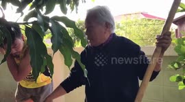 Boy, 4, rescued with his mum and grandpa after falling into 33ft deep well in Thailand