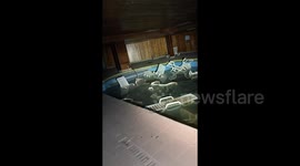 Woman explores ‘creepy’ abandoned holiday resort from 1980s where Joan Rivers performed – with beds still made, deserted spa and DEAD RACOON in pool