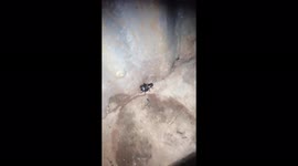 Nocturnal Animal shown on the video in the middle of the night in the southern part of Ethiopia.