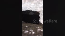 Kitten rescued after being found trapped in drain in Thailand