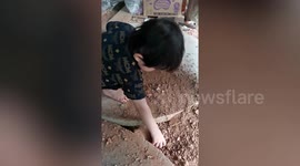 Toddler survives after being bitten by king cobra while he was playing with soil outside home