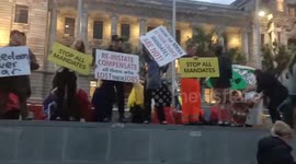 'Freedom Convoy' protesters with signs have fun in Wellington, New Zealand