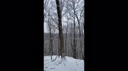 temp