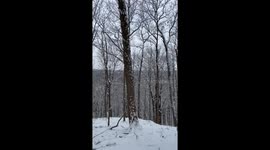 February 13, 2022 - walking through a beautiful white winter snowy forest with not a soul in sight