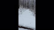 temp