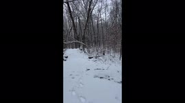 What previously was a water reservoir that provided water to the Children hospital is frozen in ice, Cedar Mountain, Newington, Connecticut