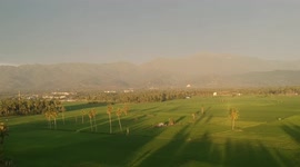 The vast expanse of rice fields is a source of food for the people in Suwawa District, Bone Bolango, Gorontalo, Indonesia