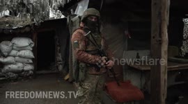 Meet Rambo, the puppy keeping soldiers company on the frontlines in Ukraine (clean version)