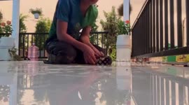 Drowning newborn puppies rescued from flooded pit during thunderstorm in Thailand