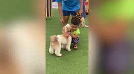 Friendly pet dog gives free hugs to shopping mall visitors