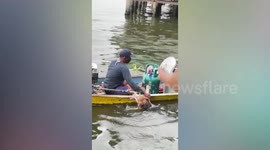 Hero passerby climbs in boat save drowning dog in river in Thailand