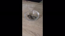 how to fix a stretched hair tie