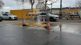 A Waterbrust in Victoria Embankment