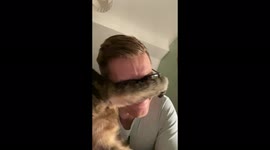 Hilarious Cat Fart / Sneeze in my Face after being affectionate - delightful!