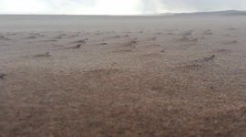 Storm Eunice batters Exmouth beach and blasts the sand at an incredible speed
