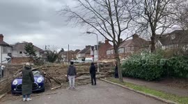 Dozens of trees knocked over, covering roads in this London neighborhood following winds from Storm Eunice
