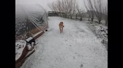 temp