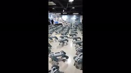 An army of robotic dogs uni3 execute commands synchronously