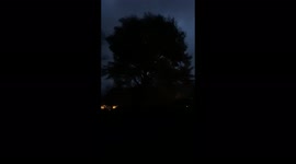 Large trees bend from the strong wind in Naarden, Netherlands during storm Eunice