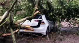 UK driver has lucky escape in Storm Eunice when tree falls on car