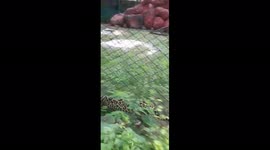 the hyderabad india zoo