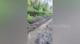 Body of missing father, 51, seen being eaten by a crocodile in Indonesia