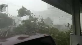 Massive storm accompanied by huge hailstones topples trees in Surabaya, Indonesia