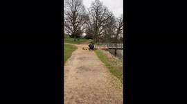 Watch out for Bodiam Castle ducks they'll peck the hands that feed them