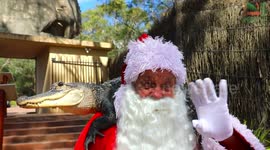 Santa visits animals in The Australian Reptile Park