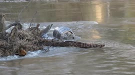 Kegs of beer float down River Severn as Bridgnorth caravan park submerged in Shropshire floods